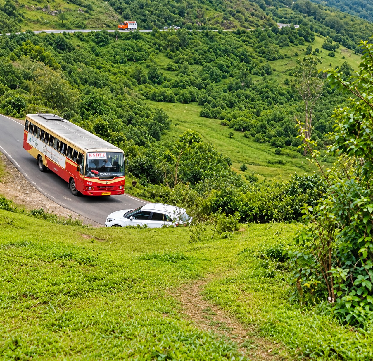 Munnar Stay